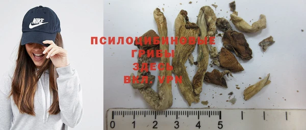 бошки Алексин