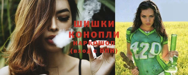бошки Алексин