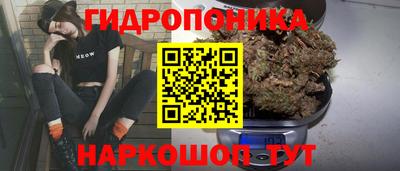 PSILOCYBIN Нарткала