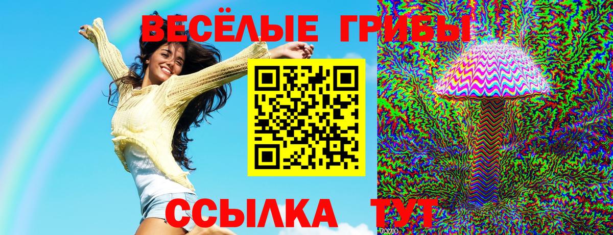 Псилоцибиновые грибы прущие грибы Обнинск